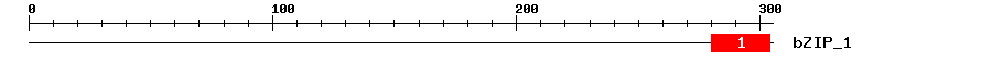 Signature Domain