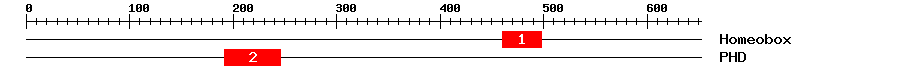 Signature Domain