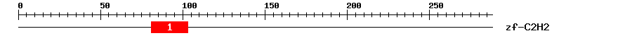 Signature Domain