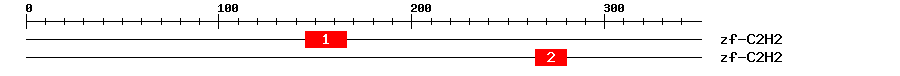 Signature Domain