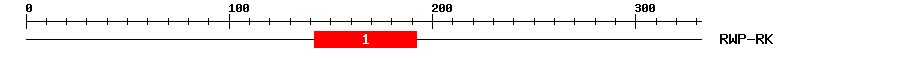 Signature Domain