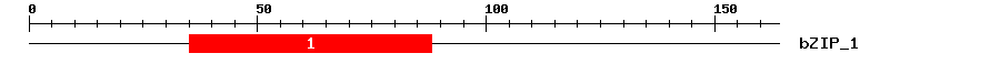 Signature Domain