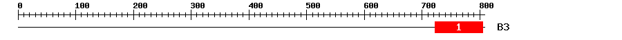 Signature Domain