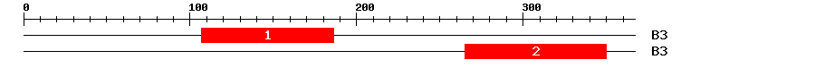 Signature Domain