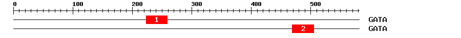 Signature Domain