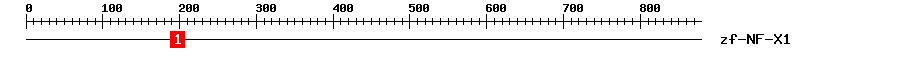 Signature Domain