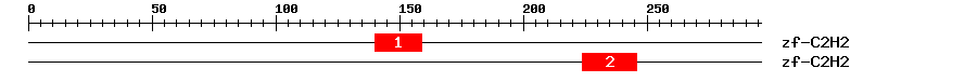 Signature Domain