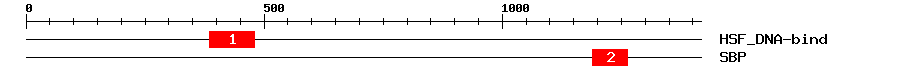 Signature Domain