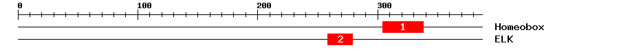 Signature Domain