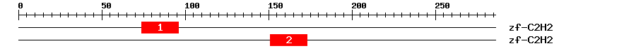 Signature Domain
