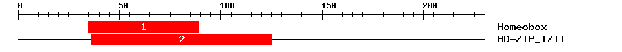 Signature Domain