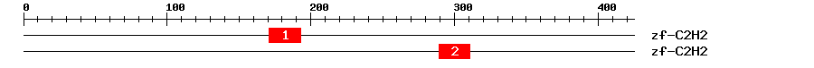 Signature Domain