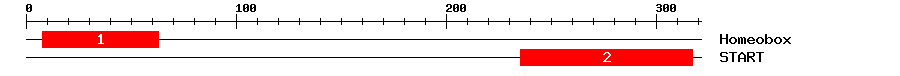 Signature Domain