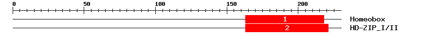 Signature Domain