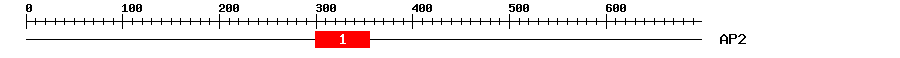 Signature Domain