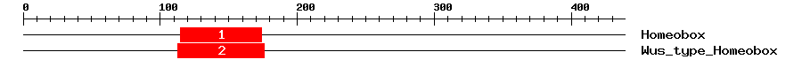 Signature Domain