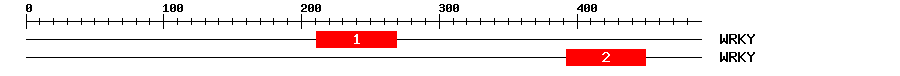 Signature Domain