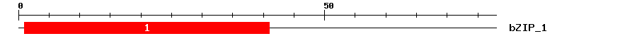 Signature Domain