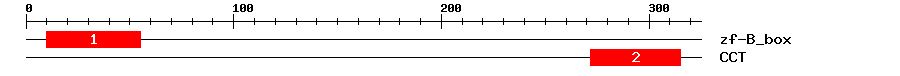 Signature Domain