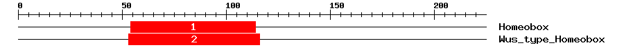 Signature Domain