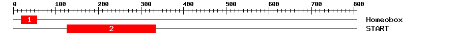 Signature Domain
