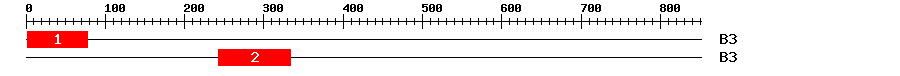 Signature Domain
