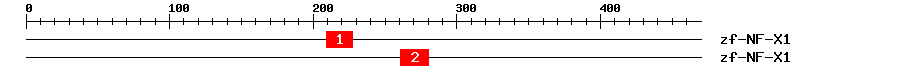 Signature Domain