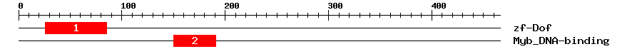 Signature Domain