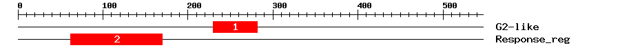 Signature Domain
