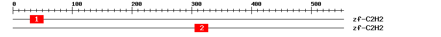 Signature Domain