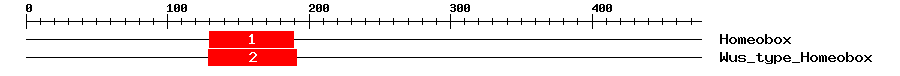 Signature Domain