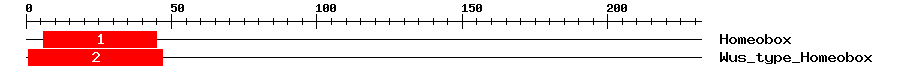 Signature Domain
