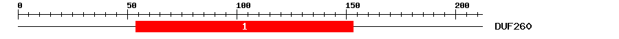 Signature Domain