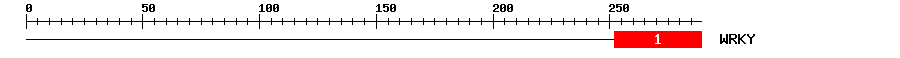 Signature Domain