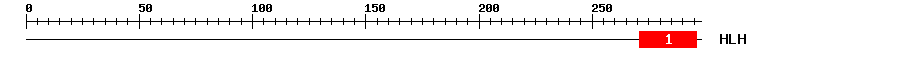 Signature Domain