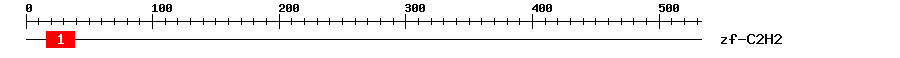 Signature Domain