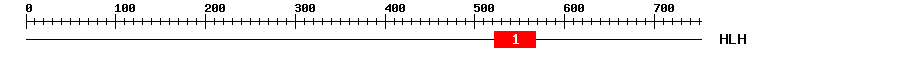Signature Domain