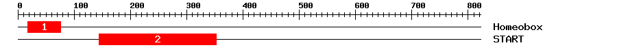 Signature Domain