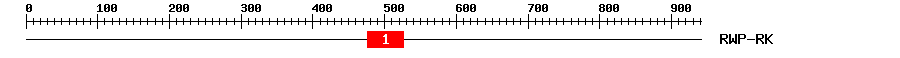 Signature Domain