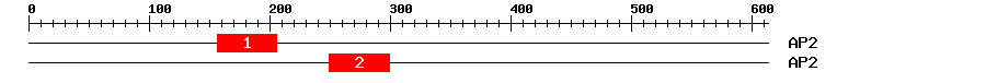 Signature Domain