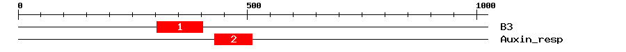 Signature Domain