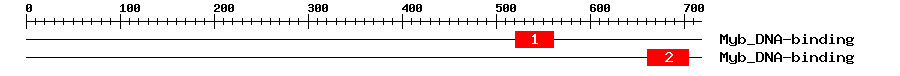 Signature Domain