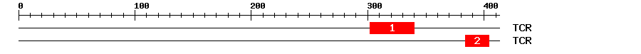 Signature Domain