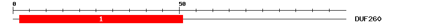 Signature Domain