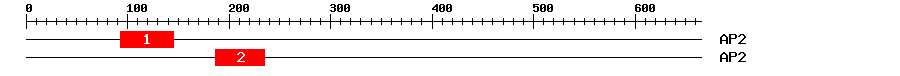 Signature Domain