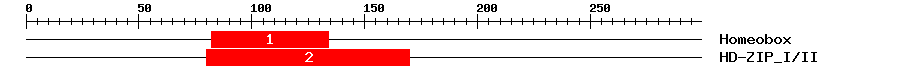 Signature Domain