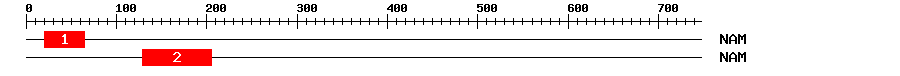 Signature Domain