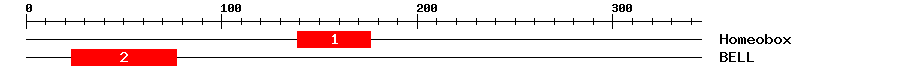 Signature Domain