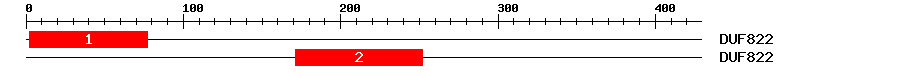 Signature Domain