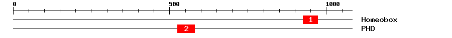 Signature Domain